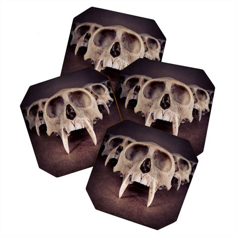 Ballack Art House Theories Of Early Man Coaster Set