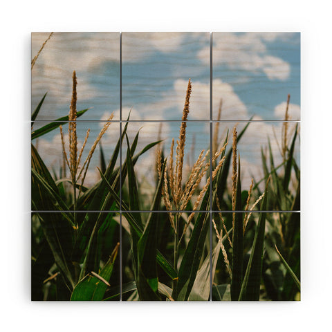 Bethany Young Photography Summer Fields Wood Wall Mural