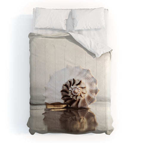 Bree Madden Seashell Comforter