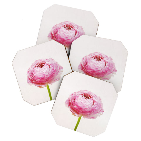 Cassia Beck Ranunculus Flower Coaster Set