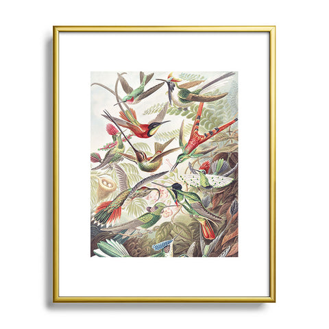 Dagmar Pels Hummingbirds 20 Metal Framed Art Print