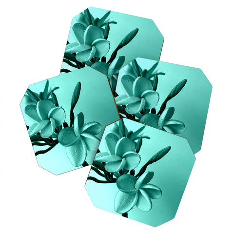 Deb Haugen Mint Plumeria Coaster Set