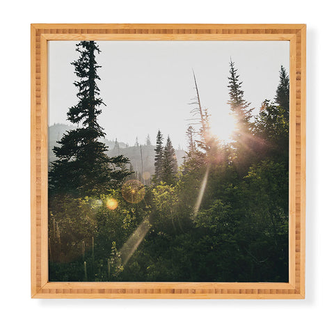 Hannah Kemp Bright Forest Framed Wall Art