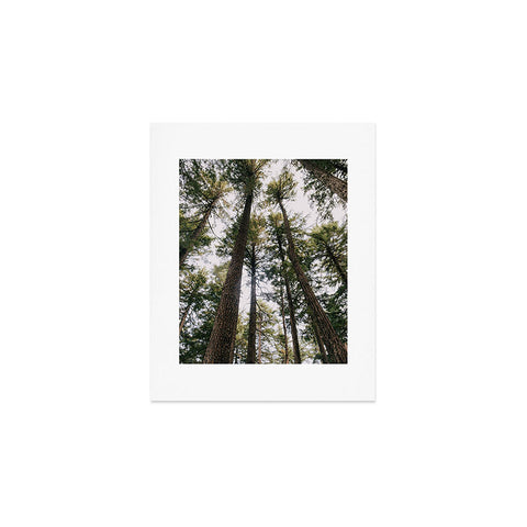 Hannah Kemp Some Trees Art Print