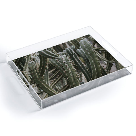 Hello Twiggs Cactus Greenhouse Acrylic Tray