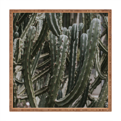 Hello Twiggs Cactus Greenhouse Square Tray