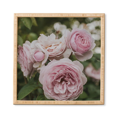 Hello Twiggs Gentle Rose Framed Wall Art