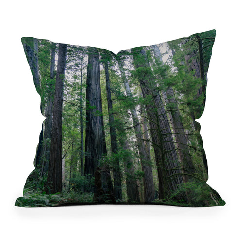 J. Freemond Visuals Among the Giants Outdoor Throw Pillow