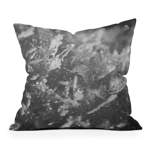 J. Freemond Visuals Surface Hoar Outdoor Throw Pillow