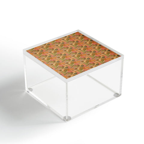 Alja Horvat Bohemian Walk Orange Acrylic Box