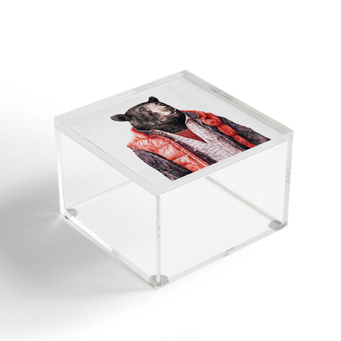 Animal Crew Black Bear Acrylic Box