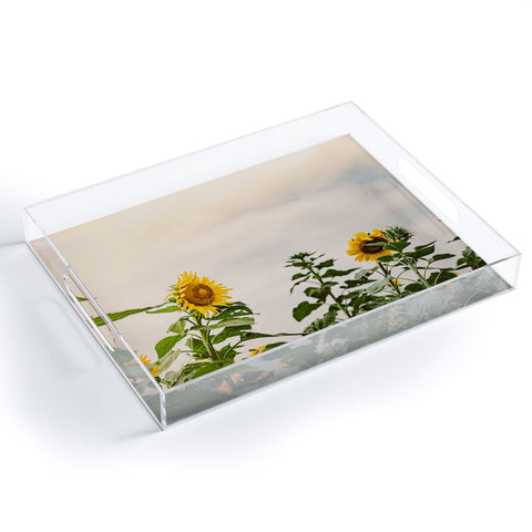 Ann Hudec Texas Sunflower Field Acrylic Tray