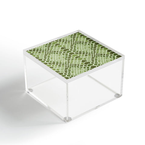 Avenie Snake Skin Green Acrylic Box