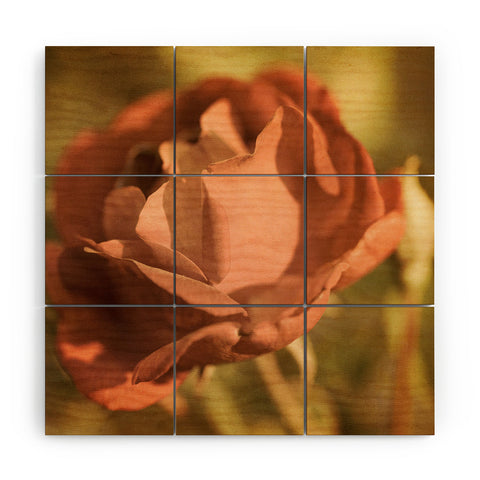 Barbara Sherman A Rose By Any Name Wood Wall Mural