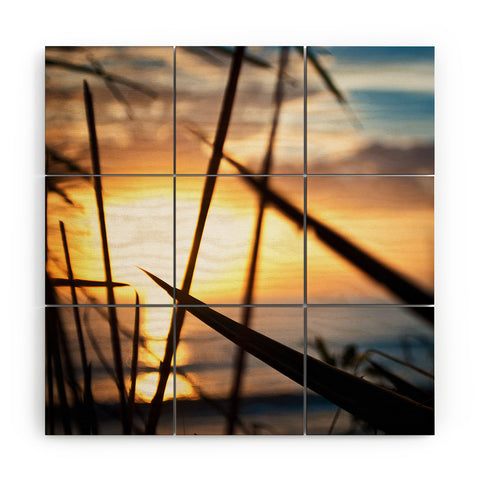 Bird Wanna Whistle Beach Sunset Wood Wall Mural