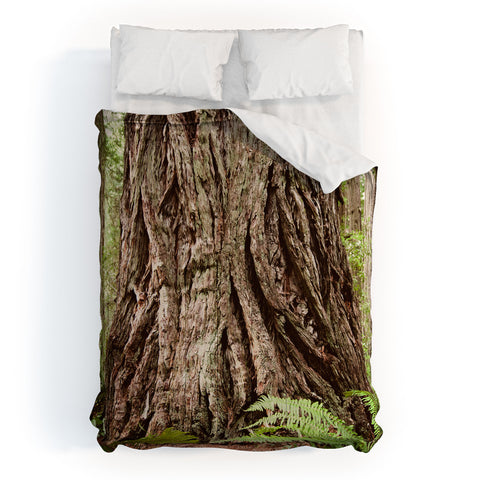 Bree Madden Redwood Trees Comforter