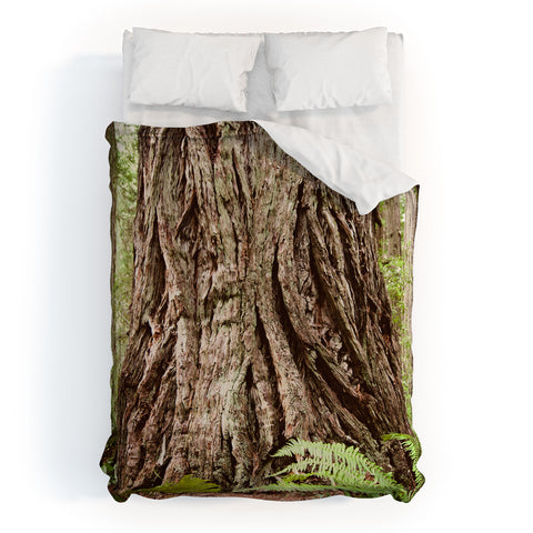 Bree Madden Redwood Trees Duvet Cover