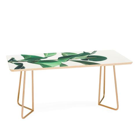 Cassia Beck Rubber Fig Coffee Table