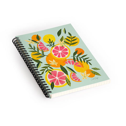 Cat Coquillette Grapefruit Blooms Mint Palette Spiral Notebook