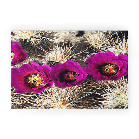 Catherine McDonald Cactus Flowers Welcome Mat