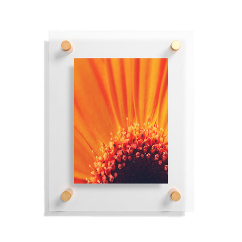 Chelsea Victoria Flower Burst Floating Acrylic Print