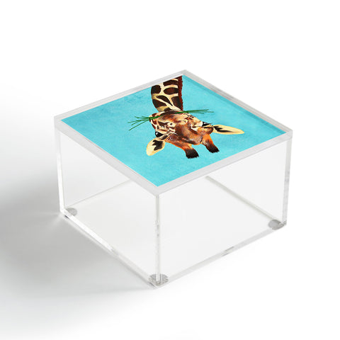 Coco de Paris Giraffe upside down Acrylic Box
