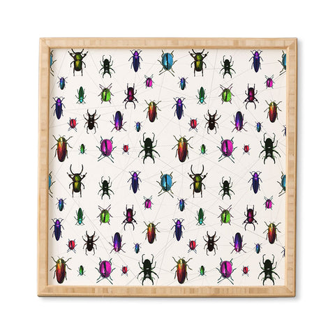 Deniz Ercelebi Beetles Framed Wall Art
