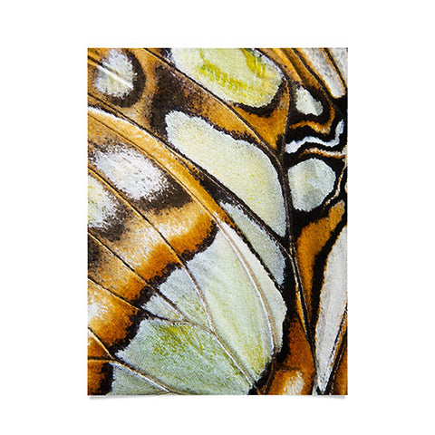 Emanuela Carratoni Butterfly Texture Poster