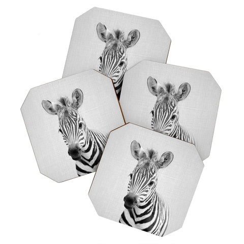 Gal Design Baby Zebra Black White Coaster Set