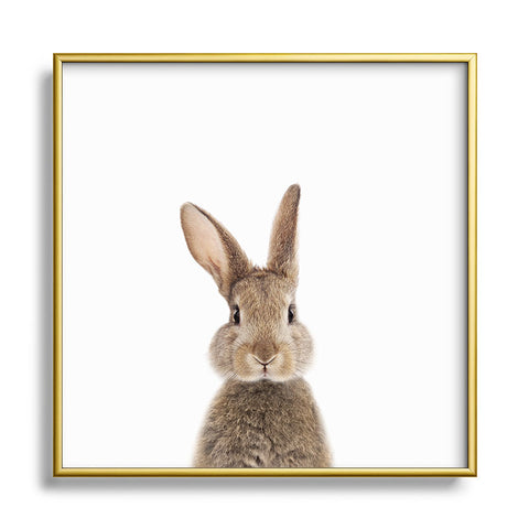 Gal Design Rabbit Colorful Metal Square Framed Art Print