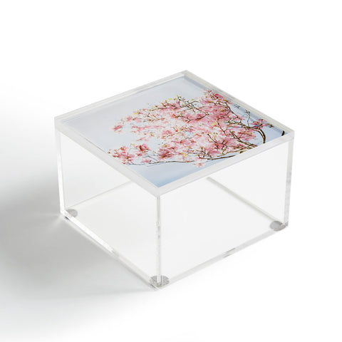 Hello Twiggs Pink Wonderland Acrylic Box