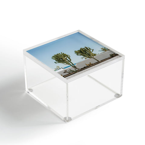 Hello Twiggs Three Cactus Acrylic Box