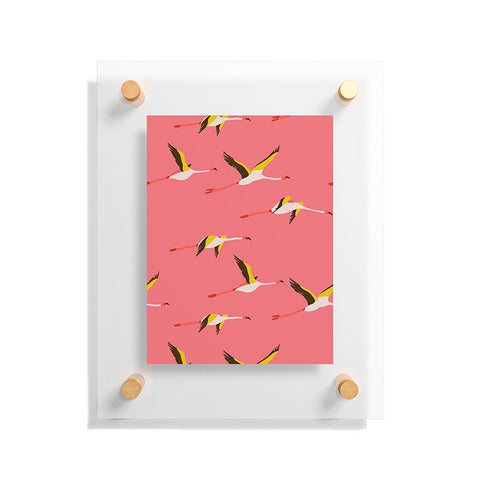 Holli Zollinger Flamingo Crush Floating Acrylic Print