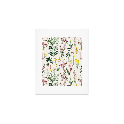 Holli Zollinger WILDFLOWER STUDY LIGHT Art Print