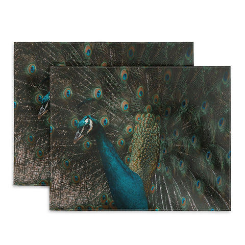 Ingrid Beddoes Peacock and proud IV Placemat