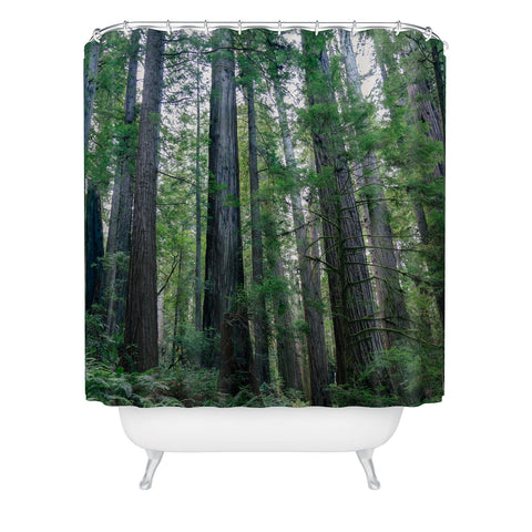 J. Freemond Visuals Among the Giants Shower Curtain
