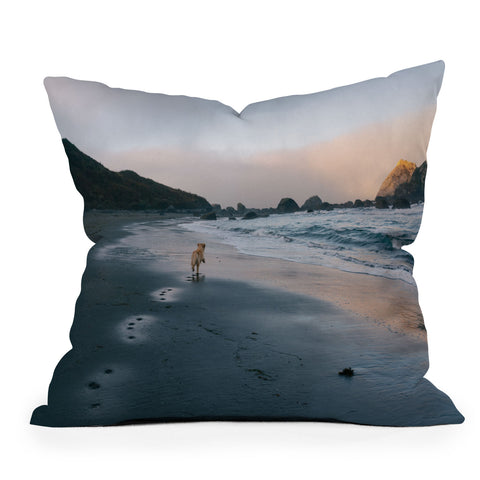 J. Freemond Visuals Beachside Enzo Throw Pillow