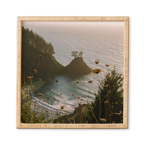 J. Freemond Visuals Golden Coast Framed Wall Art