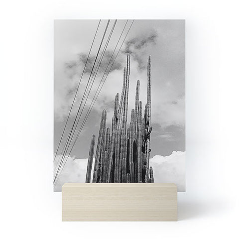 J. Freemond Visuals Highline Cacti Mini Art Print