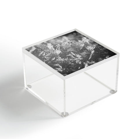 J. Freemond Visuals Surface Hoar Acrylic Box