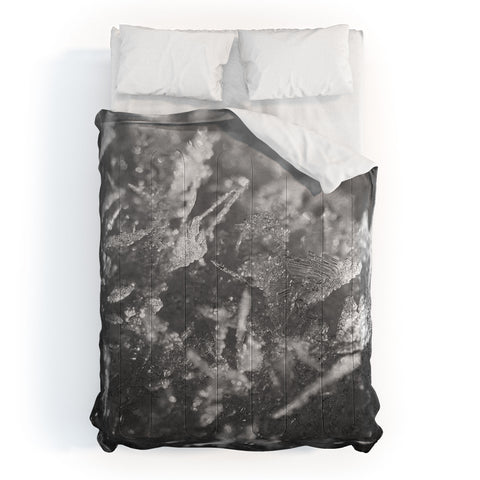 J. Freemond Visuals Surface Hoar Comforter