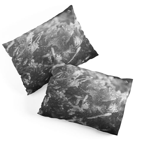 J. Freemond Visuals Surface Hoar Pillow Shams