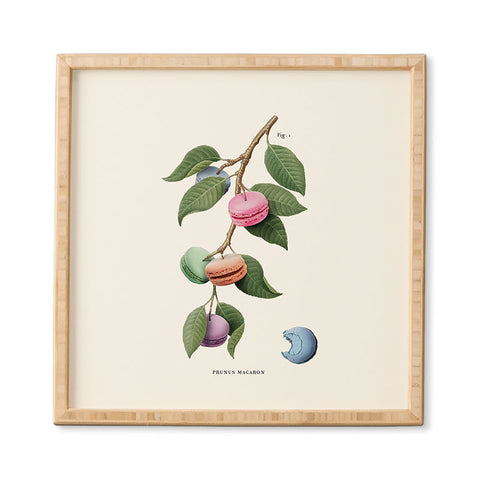 Jonas Loose Macaron Plant Framed Wall Art