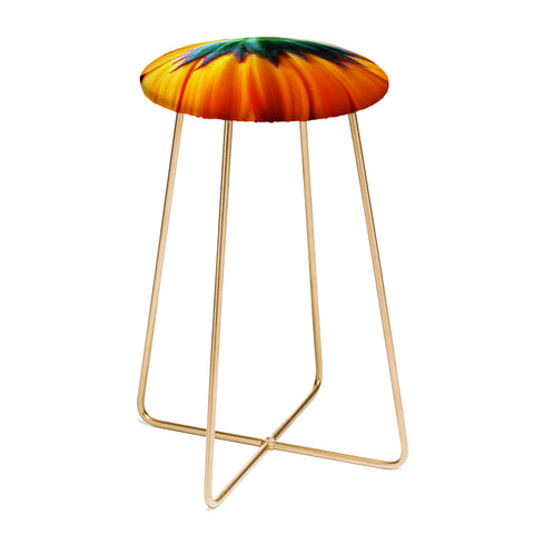 Krista Glavich Tristans Daisy Counter Stool