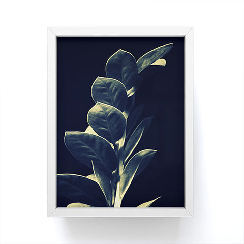 Krista Glavich Zamioculcas Framed Mini Art Print