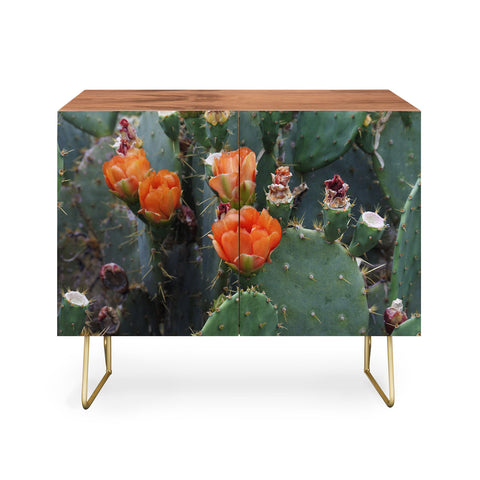 Lisa Argyropoulos Blooming Prickly Pear Credenza