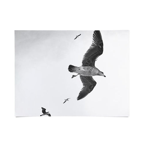 Lisa Argyropoulos Flight of Fancy Monochrome Poster