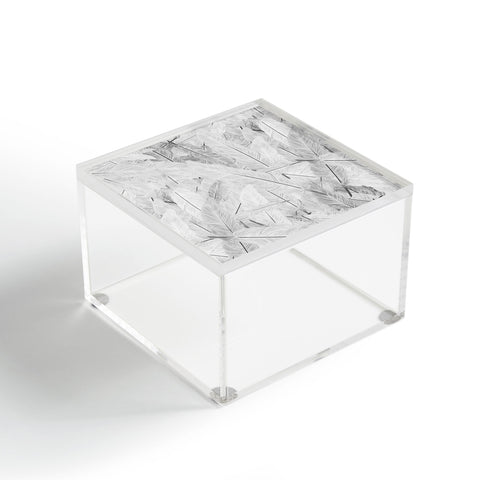 Matt Leyen Feathered Light Acrylic Box
