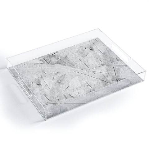 Matt Leyen Feathered Light Acrylic Tray
