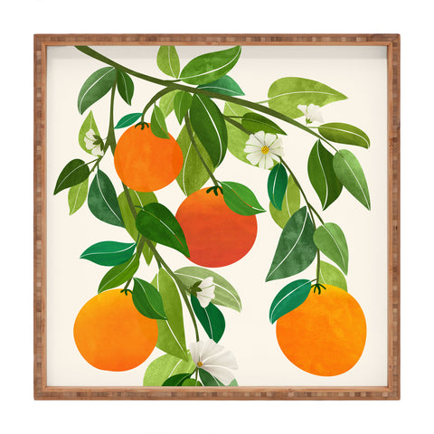 Modern Tropical Oranges and Blossoms II Tropical Fruit Square Tray